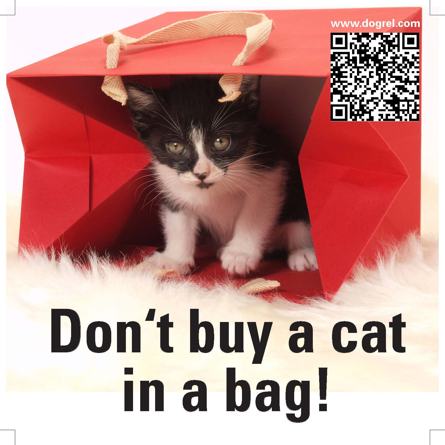 Kaufen Sie nicht die Katze im Sack